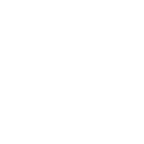r2b_flieger